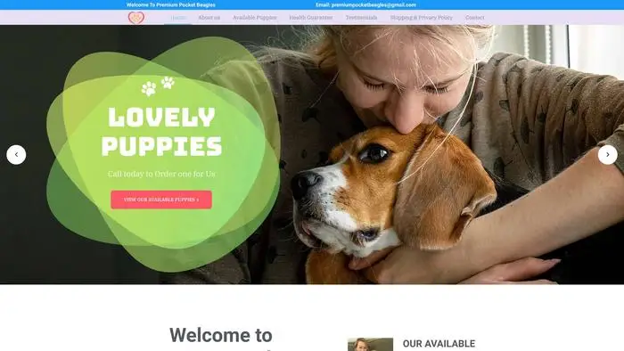 Screenshot of