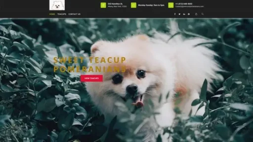 Screenshot of