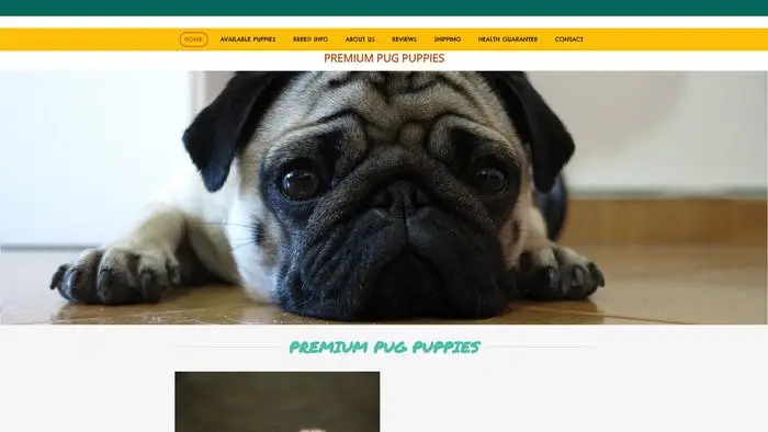 Screenshot of
