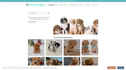Screenshot of