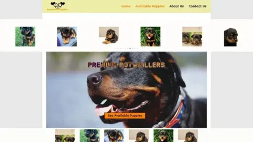 Screenshot of