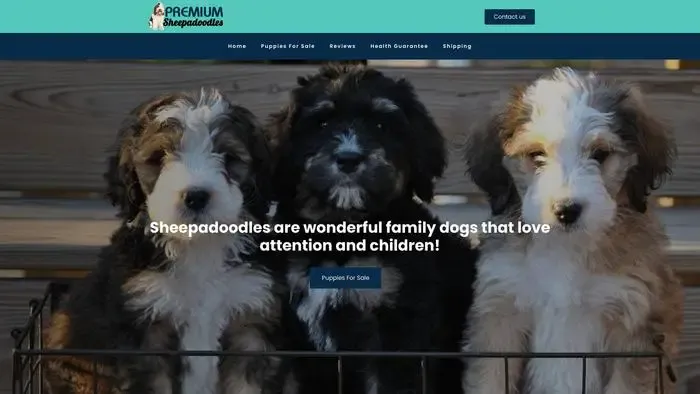 Screenshot of