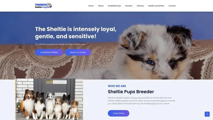 Screenshot of