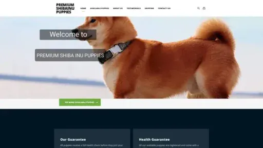 Screenshot of