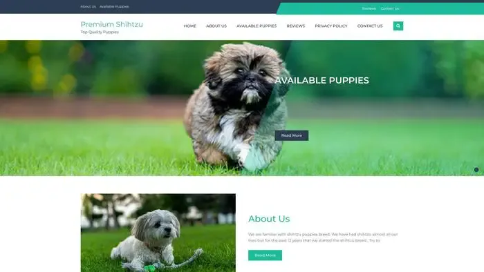 Screenshot of
