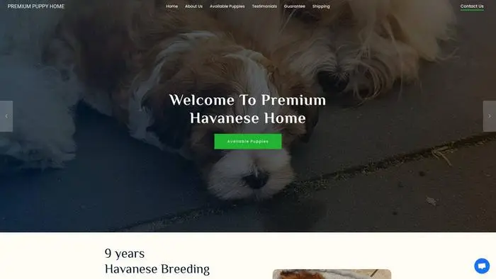 Screenshot of