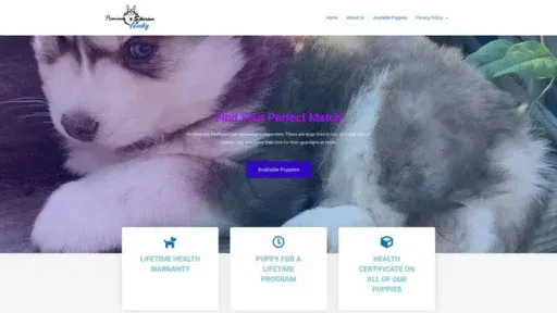 Screenshot of