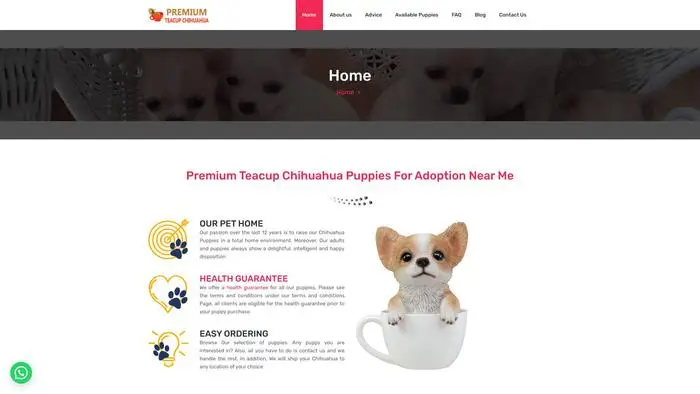 Screenshot of