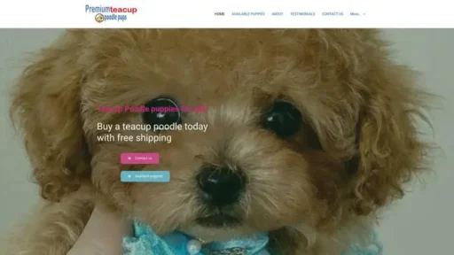 Screenshot of