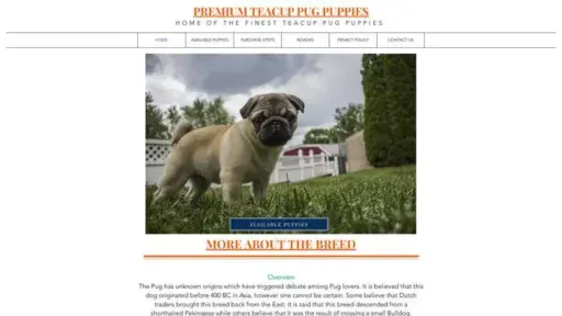 Screenshot of
