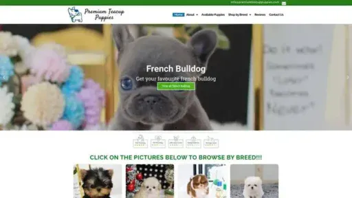 Screenshot of