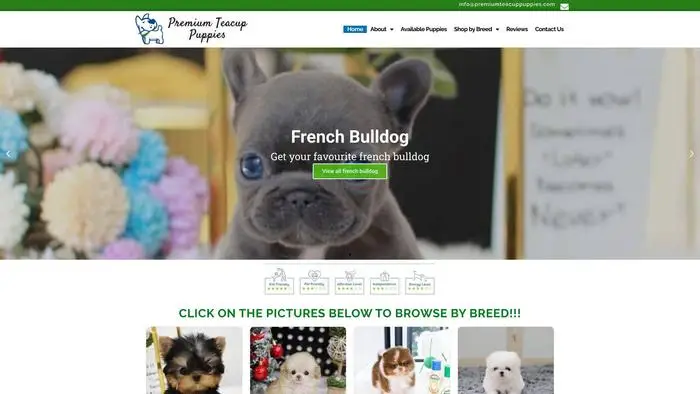 Screenshot of