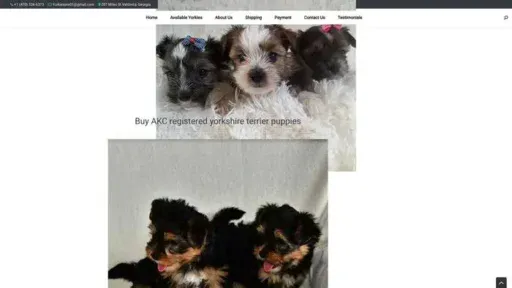 Screenshot of