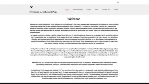 Screenshot of