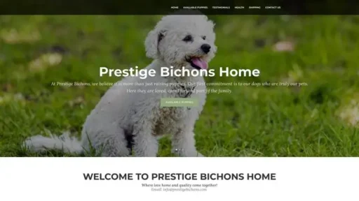 Screenshot of