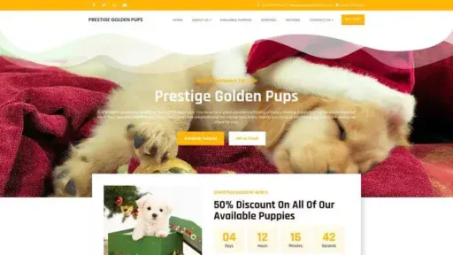 Screenshot of||
