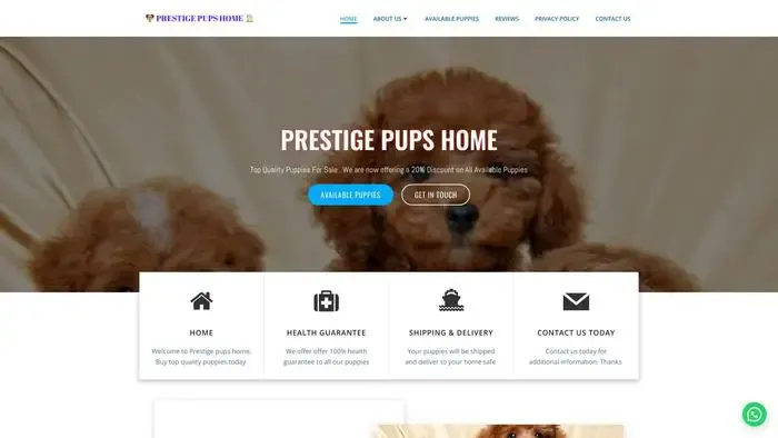 Screenshot of