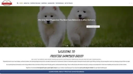 Screenshot of