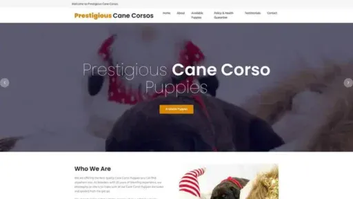 Screenshot of