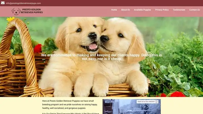 Screenshot of