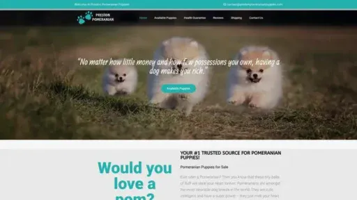 Screenshot of