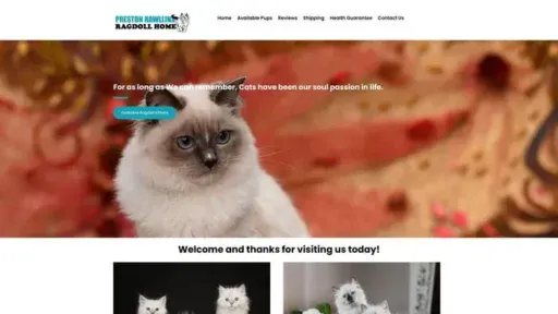 Screenshot of