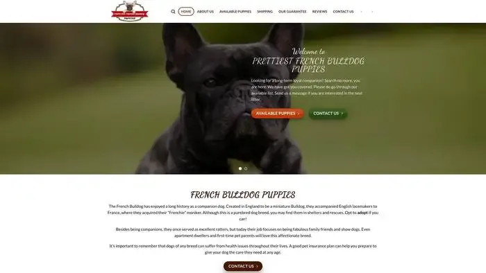 Screenshot of