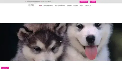 Screenshot of