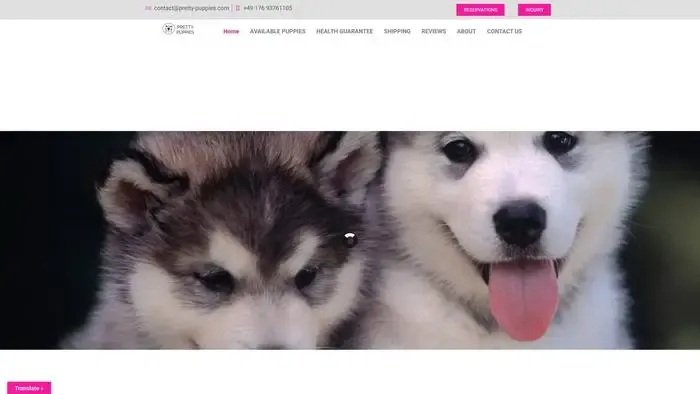 Screenshot of