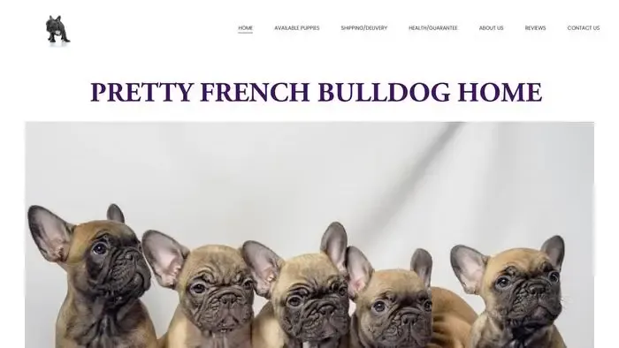Screenshot of