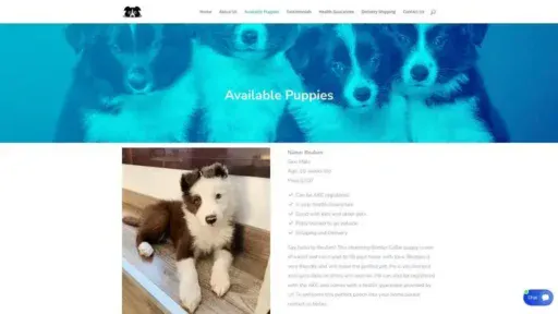 Screenshot of