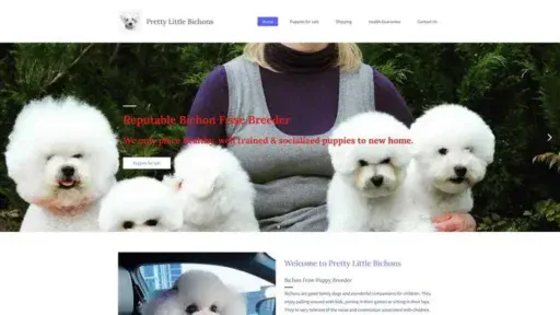 Screenshot of