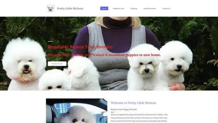 Screenshot of