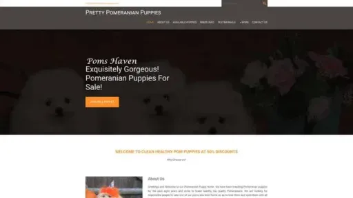 Screenshot of