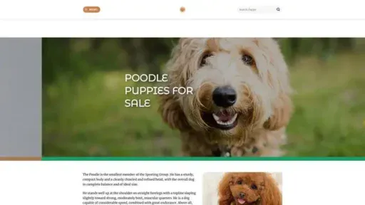 Screenshot of