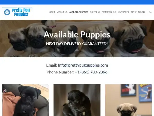 Screenshot of