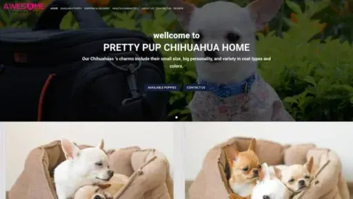 Screenshot of