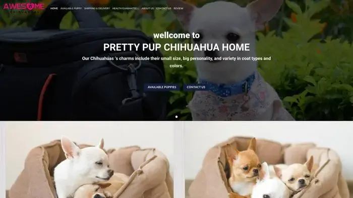 Screenshot of