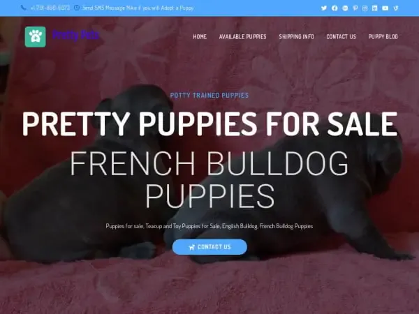 Screenshot of