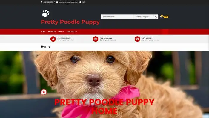 Screenshot of