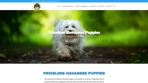 Screenshot of
