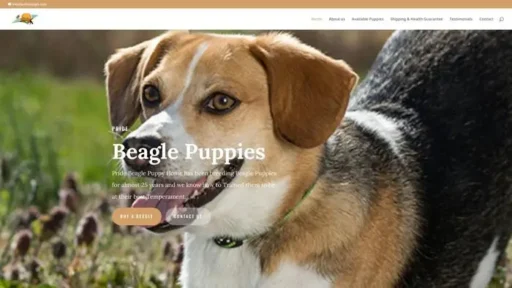 Screenshot of