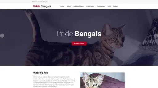 Screenshot of