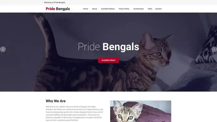 Screenshot of