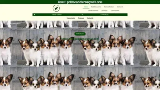 Screenshot of