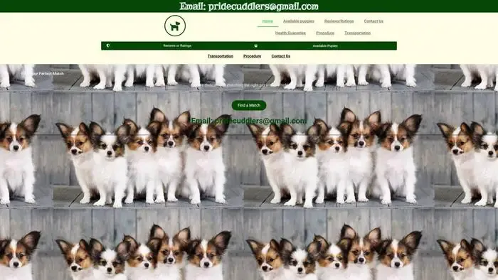 Screenshot of