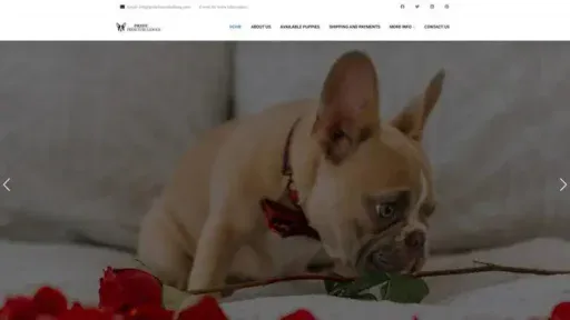 Screenshot of