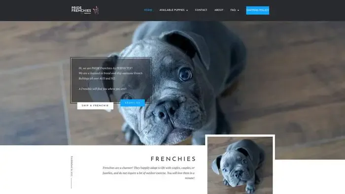 Screenshot of