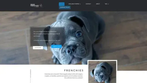 Screenshot of