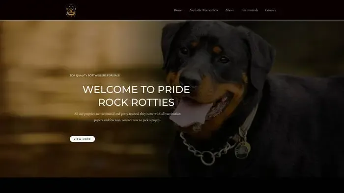 Screenshot of